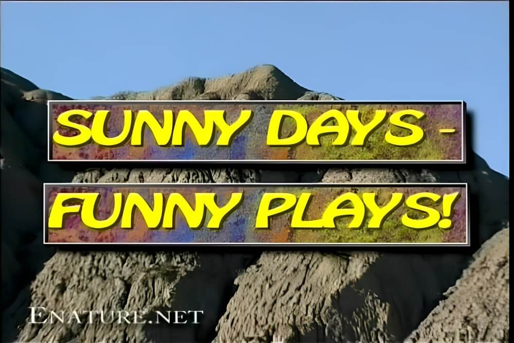 Enature - Sunny Days – Funny Plays - A defining feature of naturism is the absence of clothing